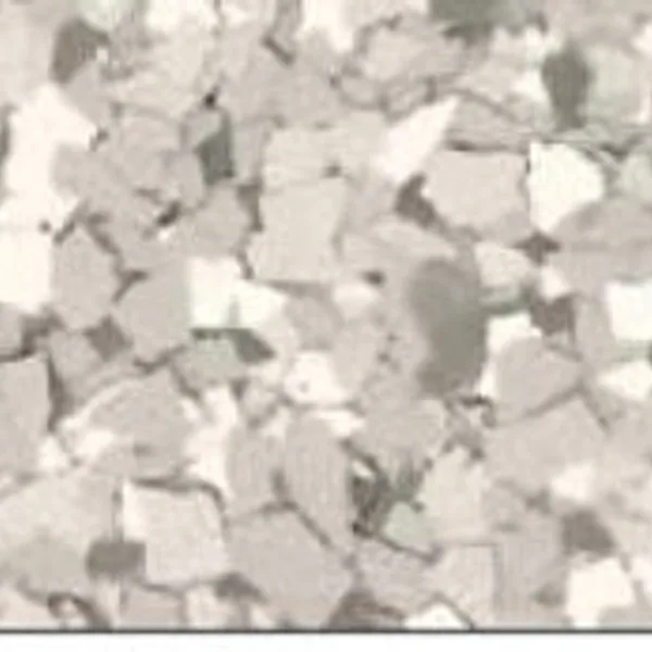 Stargazer decorative flake floor finish