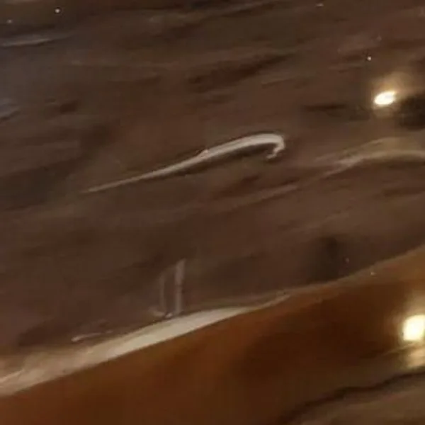 Espresso metallic epoxy floor finish