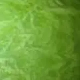 Standard metallic color reference — Apple Green