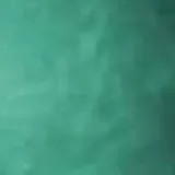 Standard metallic color reference — Winter Green