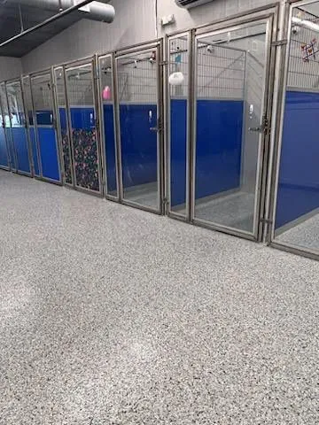 Durable decorative flake floor in a veterinary kennel facility with blue glass kennel doors